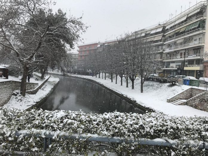 trikala-cionia