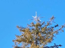 asteri