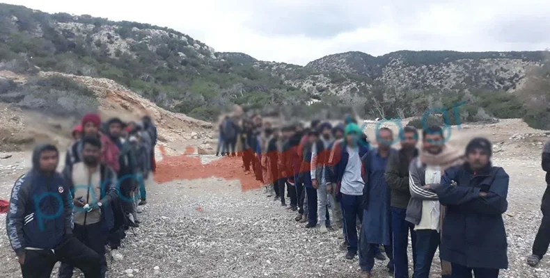 GAUDOS-ILLEGAL-IMMIGRANTS-790x400 GAUDOS-ILLEGAL-IMMIGRANTS-790x400