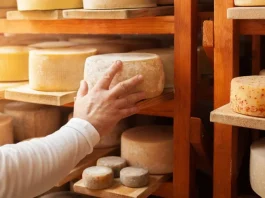 cheddar