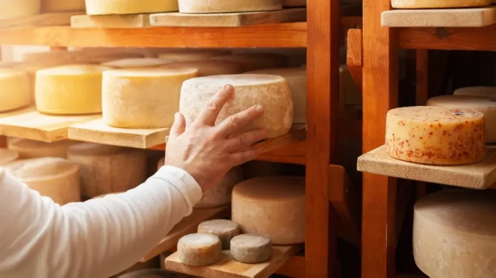 cheddar cheddar