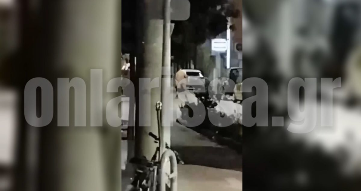 lariseos lariseos