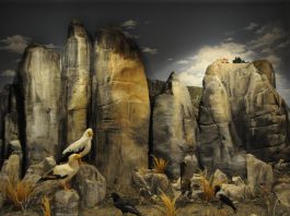 meteora-museum-tripadvisor-2