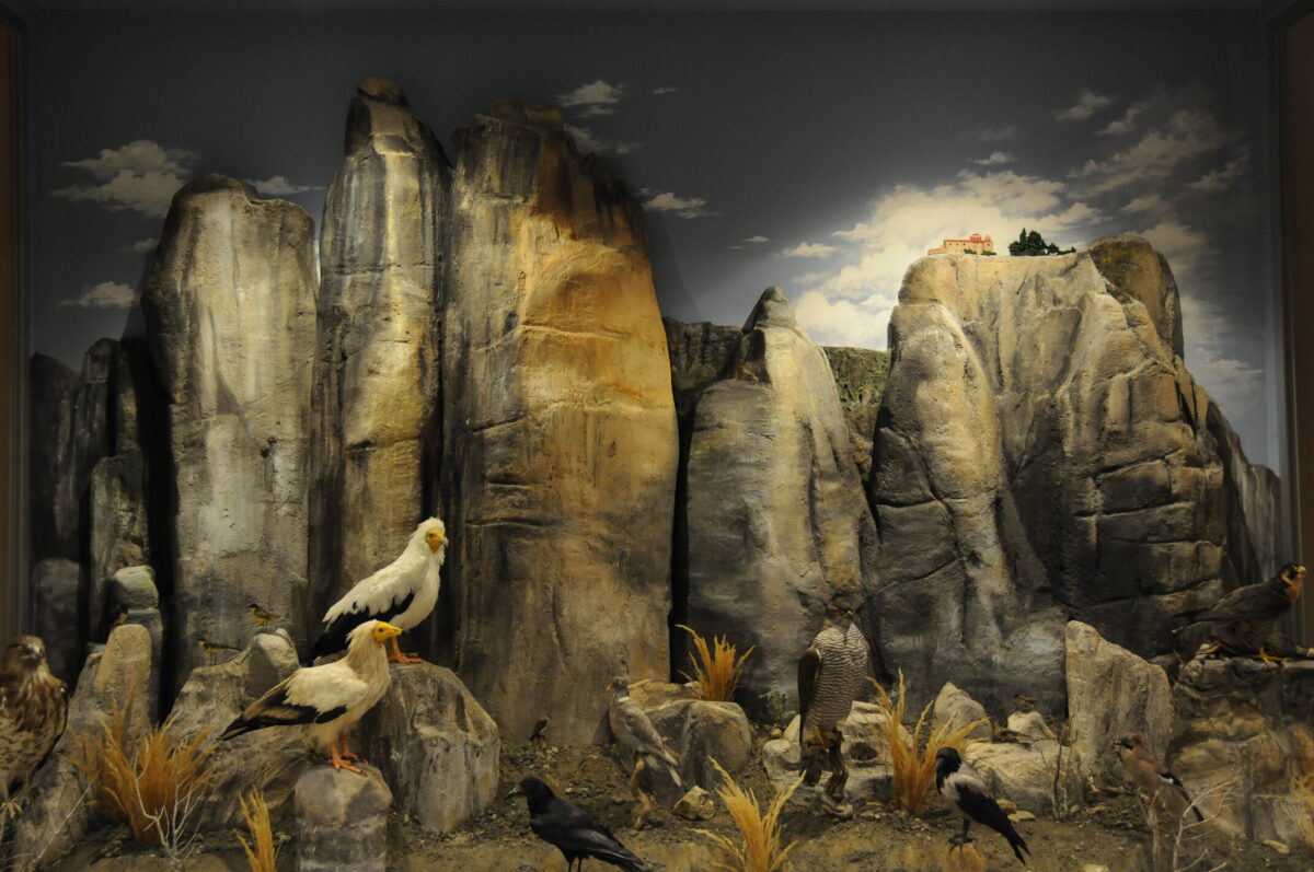 meteora-museum-tripadvisor-2 meteora-museum-tripadvisor-2