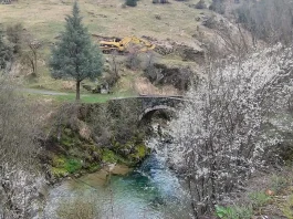 pindos-1