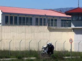 trikala-t