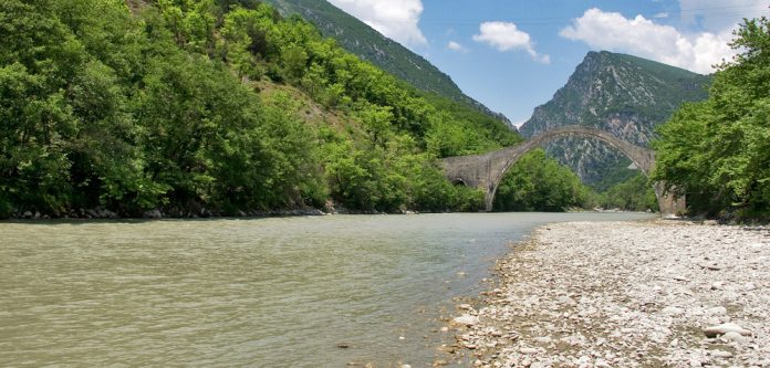 arachthos arachthos