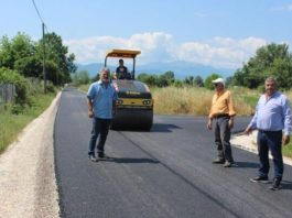 drosero4