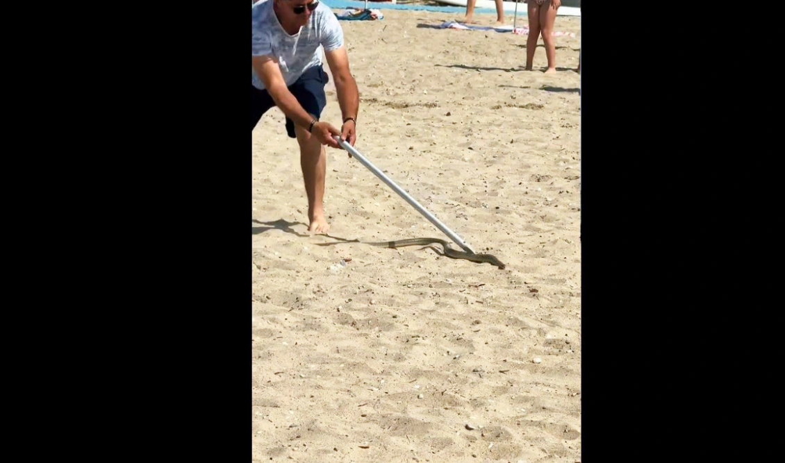 fidi-paralia fidi-paralia
