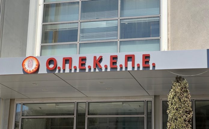opekepe7 opekepe7