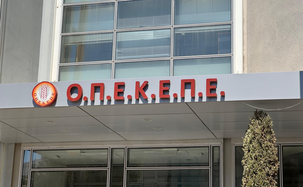 opekepe7 opekepe7