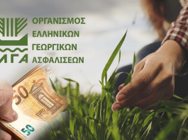 ot_elga3