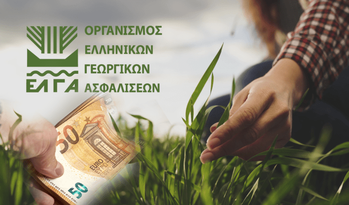 ot_elga3 ot_elga3