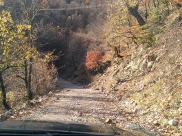 trikala-arta-1