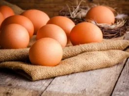 depositphotos_59160419-stock-photo-fresh-farm-eggs-on-sacking