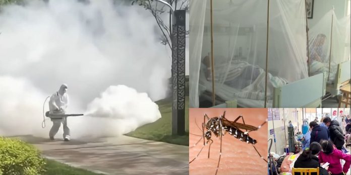 kina-ios-chikungunya kina-ios-chikungunya