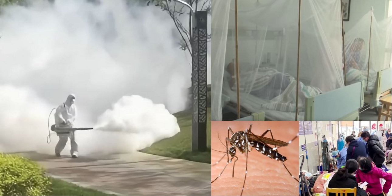 kina-ios-chikungunya kina-ios-chikungunya